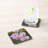 Phalaenopsis Schilleriana Bier Onderzetter (Rechterzijde)