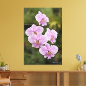Phalaenopsis Schilleriana Canvas Afdruk (Insitu (Woonkamer))