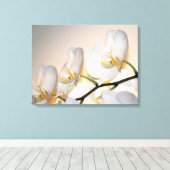 Phalaenopsis Sogo Yukidian Orchid Wrapped Canvas (Insitu (Houten vloer))