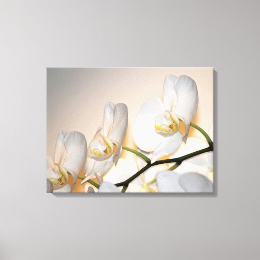 Phalaenopsis Sogo Yukidian Orchid Wrapped Canvas (Voorkant)