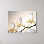 Phalaenopsis Sogo Yukidian Orchid Wrapped Canvas Afdruk (Voorkant)