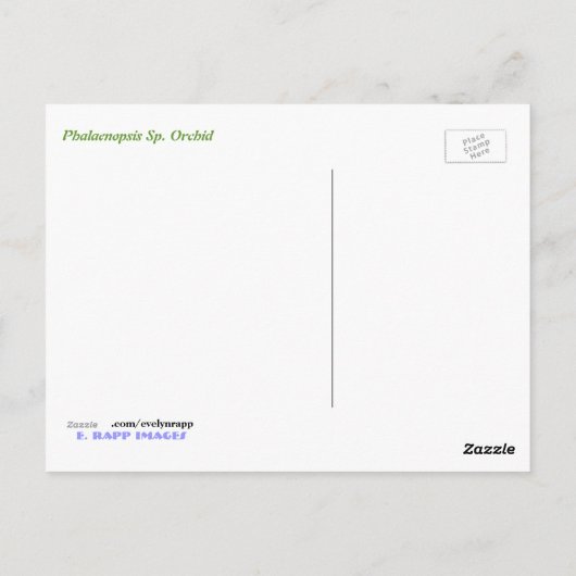 Phalaenopsis Sp. Orchid Briefkaart (Achterkant)