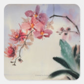 Phalaenopsis Vierkante Sticker (Voorkant)