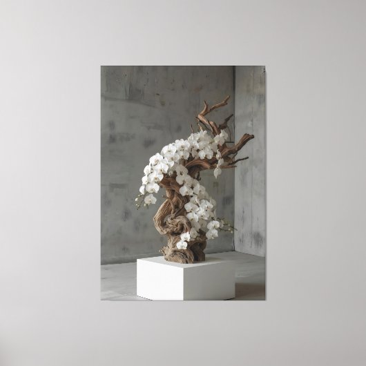 Phalaenopsis White × Driftwood – Ascending Flow Canvas Afdruk (Voorkant)