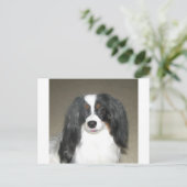 Phalene Papillon Briefkaart (Staand voorkant)