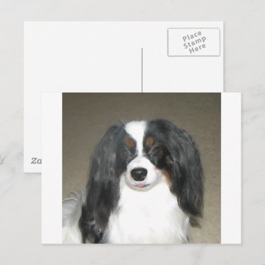 Phalene Papillon Briefkaart (Voorkant / Achterkant)