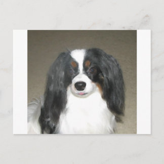 Phalene Papillon Briefkaart