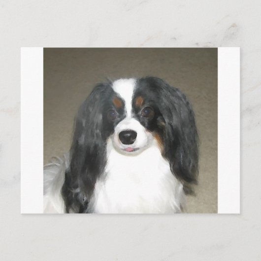 Phalene Papillon Briefkaart (Voorkant)