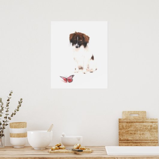 Phalene Papillon met vlinder Poster (Keuken)