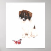 Phalene Papillon met vlinder Poster (Voorkant)
