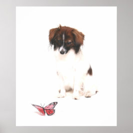 Phalene Papillon met vlinder Poster