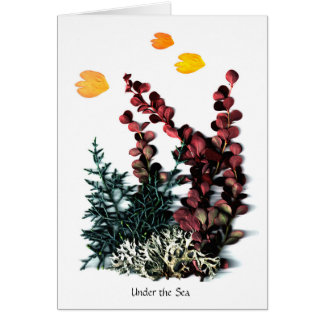 Phantasieën van Phaedra - onder het Zee