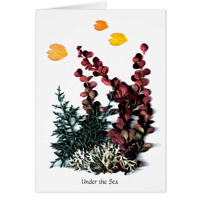 Phantasieën van Phaedra - onder het Zee (Voorkant)