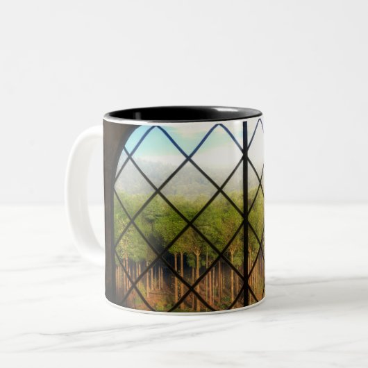 Phantasta's: Grenzen van de Mok van de feiharde gr (Voorkant links)