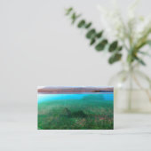 Phantastes: De Island Cottage Bladwijzer Visitekaartje (Staand voorkant)