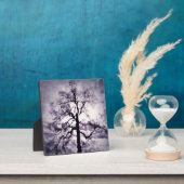 Phantastes-fotoplaquette Fotoplaat (Insitu)