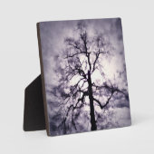 Phantastes-fotoplaquette Fotoplaat (Voorkant)