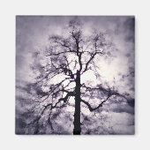 Phantastes Magnet (Voorkant)