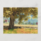 Phantastes: onder de beukenboom Briefkaart (Voorkant)