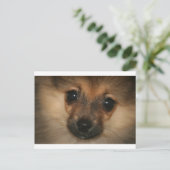 Phantom Dog Briefkaart (Staand voorkant)