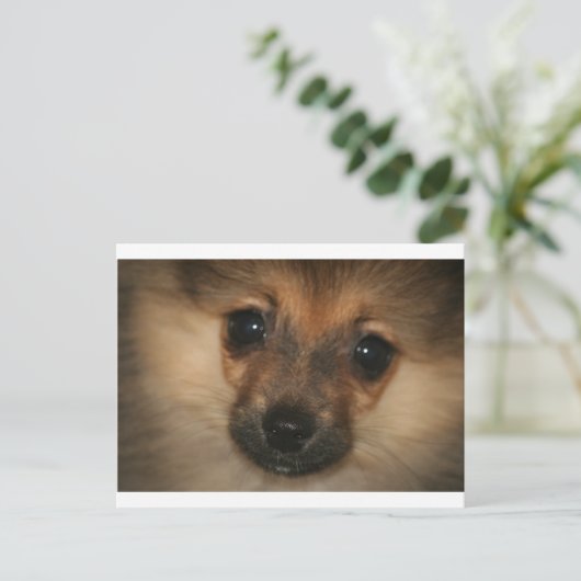 Phantom Dog Briefkaart (Staand voorkant)