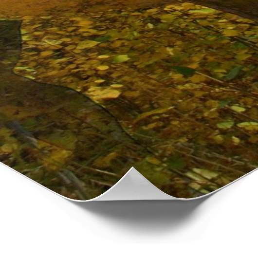 Phantom Grove Poster (Hoek)