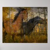 Phantom Grove Poster (Voorkant)