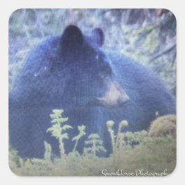 Phantom het zwarte Beer Vierkante Sticker