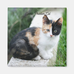 Phantom Opera Cat Magneet