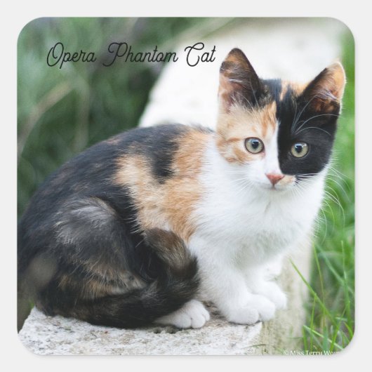 Phantom Opera Cat Vierkante Sticker (Voorkant)