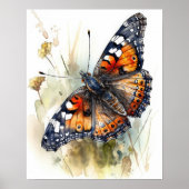 Phaon Crescent Butterfly Art Print Poster (Voorkant)