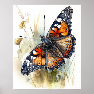 Phaon Crescent Butterfly Art Print Poster