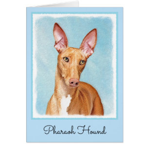 Pharaoh Hond Painting - Cute Original Dog Art
