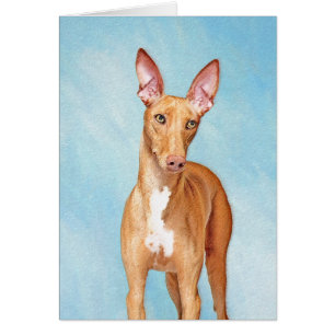Pharaoh Hond Painting - Cute Original Dog Art