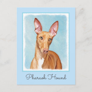 Pharaoh Hond Painting - Cute Original Dog Art Briefkaart