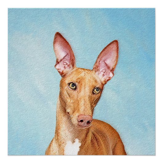 Pharaoh Hond Painting - Cute Original Dog Art Perfect Poster (Voorkant)