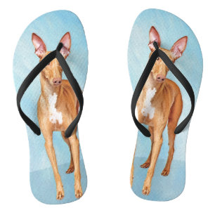 Pharaoh Hond Painting - Cute Original Dog Art Teenslippers