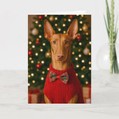 Pharaoh Hound Holiday Card Feestdagen Kaart (Voorkant)