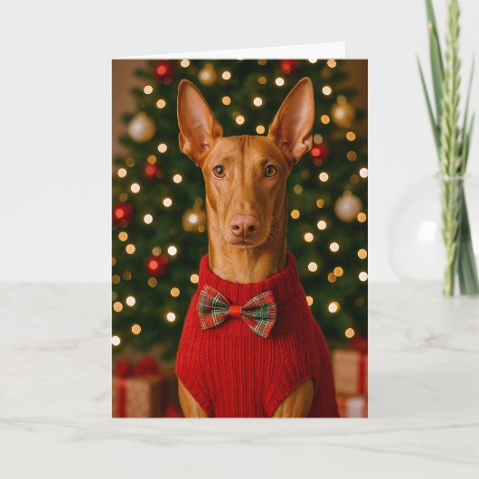Pharaoh Hound Holiday Card Feestdagen Kaart (Voorkant)