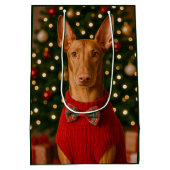 Pharaoh Hound Holiday  Medium Cadeauzakje (Achterkant)