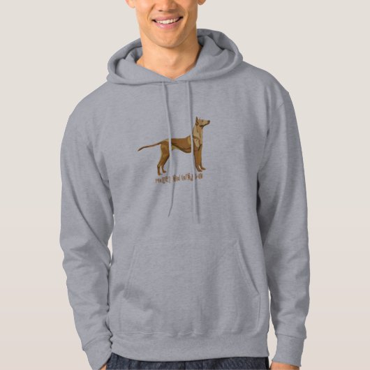 PHARAOH HOUND HOODIE (Voorkant)