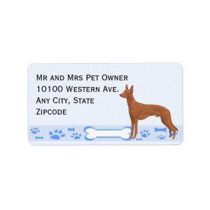 Pharaoh Hound op Blue Gingham Etiket