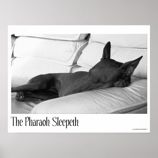 Pharaoh Hound | Pharoah Sleepeth Poster (Voorkant)