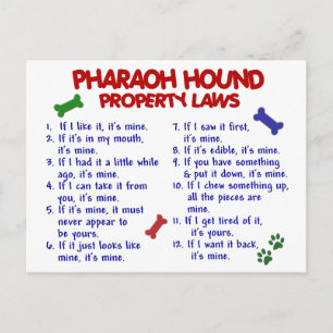 PHARAOH HOUND Property Laws 2 Briefkaart