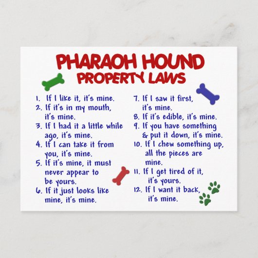 PHARAOH HOUND Property Laws 2 Briefkaart (Voorkant)
