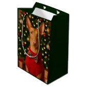 Pharaoh Hound Vakantie  Medium Cadeauzakje (Achterkant Gekanteld)