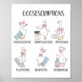 Pharmacy Funny Goose Silly Prescriptions Puns Medi Poster (Voorkant)