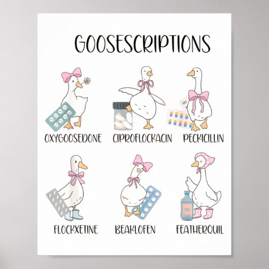 Pharmacy Funny Goose Silly Prescriptions Puns Medi Poster (Voorkant)