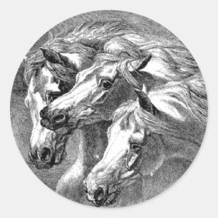 Pharoah Paard Illustratie Sticker