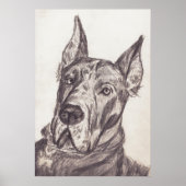 pharoah sk3 str poster (Voorkant)